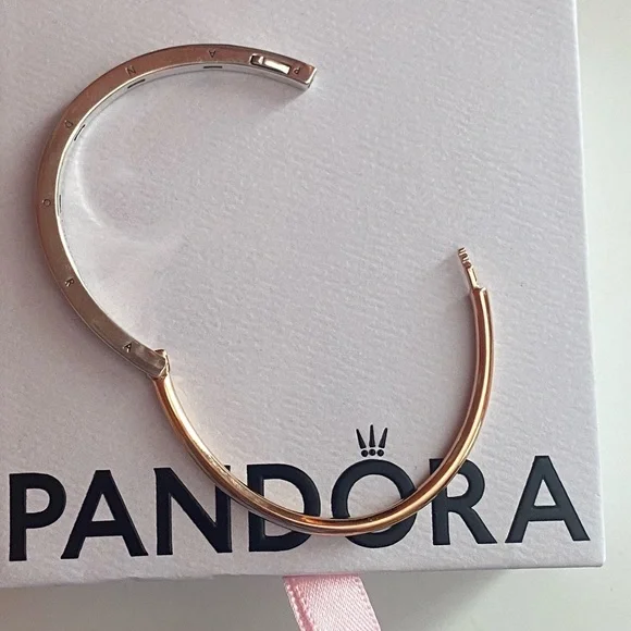 Pandora Rose Gold and Sterling Silver Bangle - Picture 5 of 7
